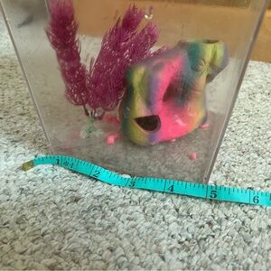 One gallon Fish tank